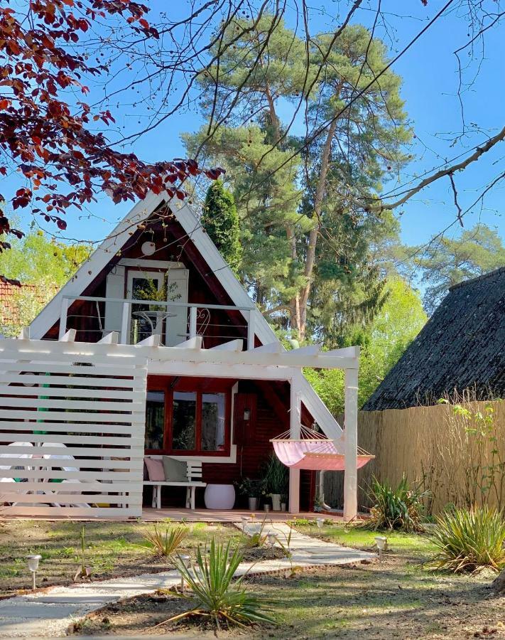 Nadi'S Holiday Home - Heart Of Woods, Szentendre Island Szigetmonostor Zewnętrze zdjęcie